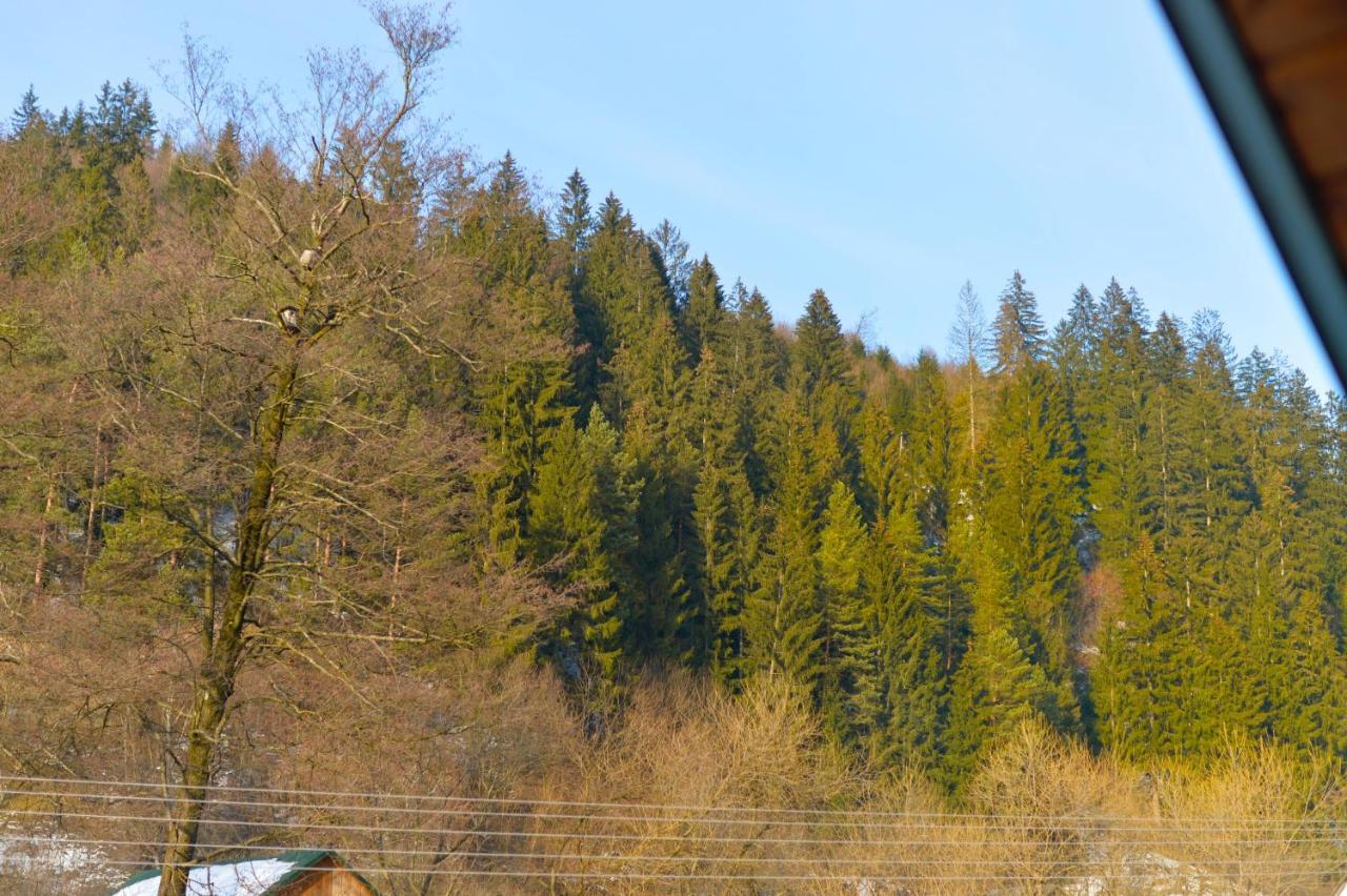 Садиба Between Mountains Mizhhirya  エクステリア 写真