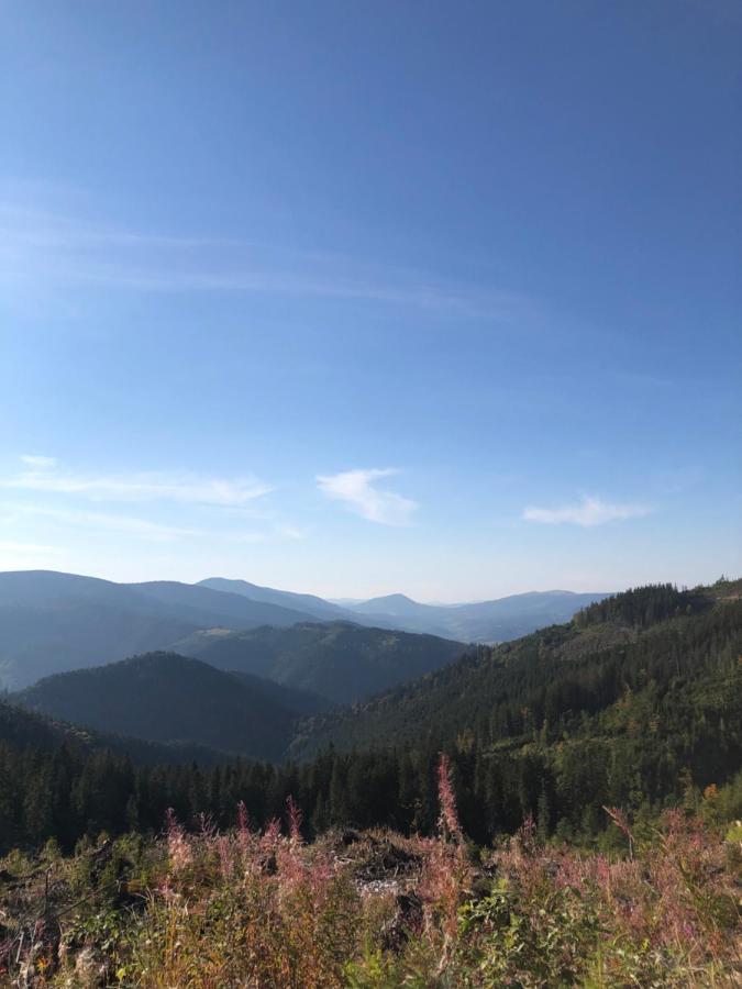 Садиба Between Mountains Mizhhirya  エクステリア 写真