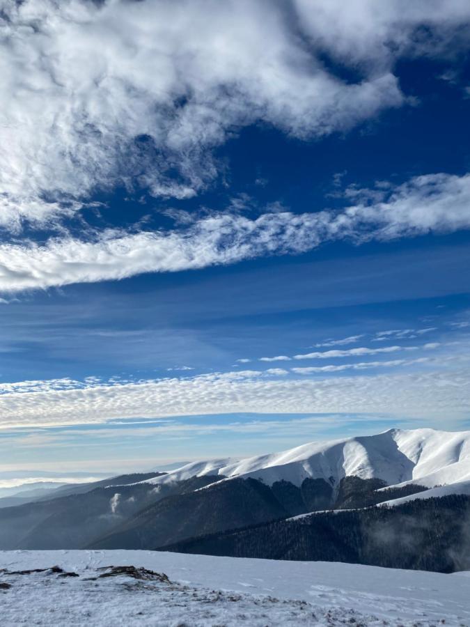 Садиба Between Mountains Mizhhirya  エクステリア 写真