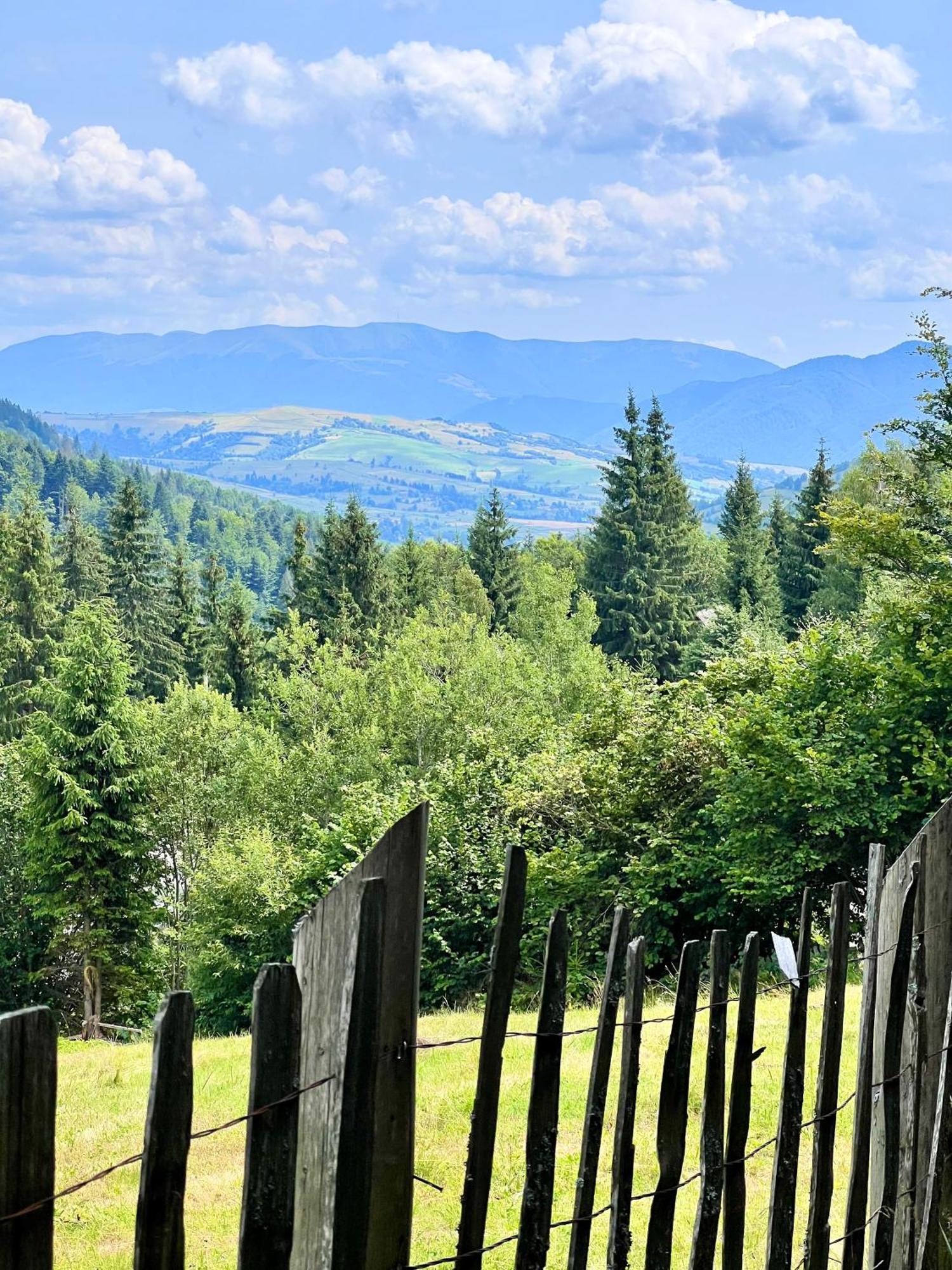 Садиба Between Mountains Mizhhirya  エクステリア 写真