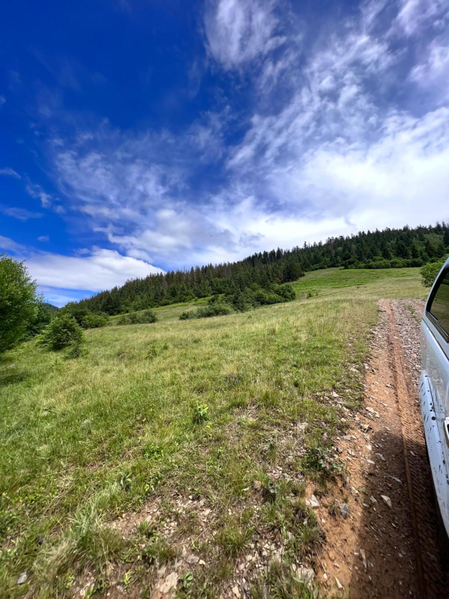 Садиба Between Mountains Mizhhirya  エクステリア 写真