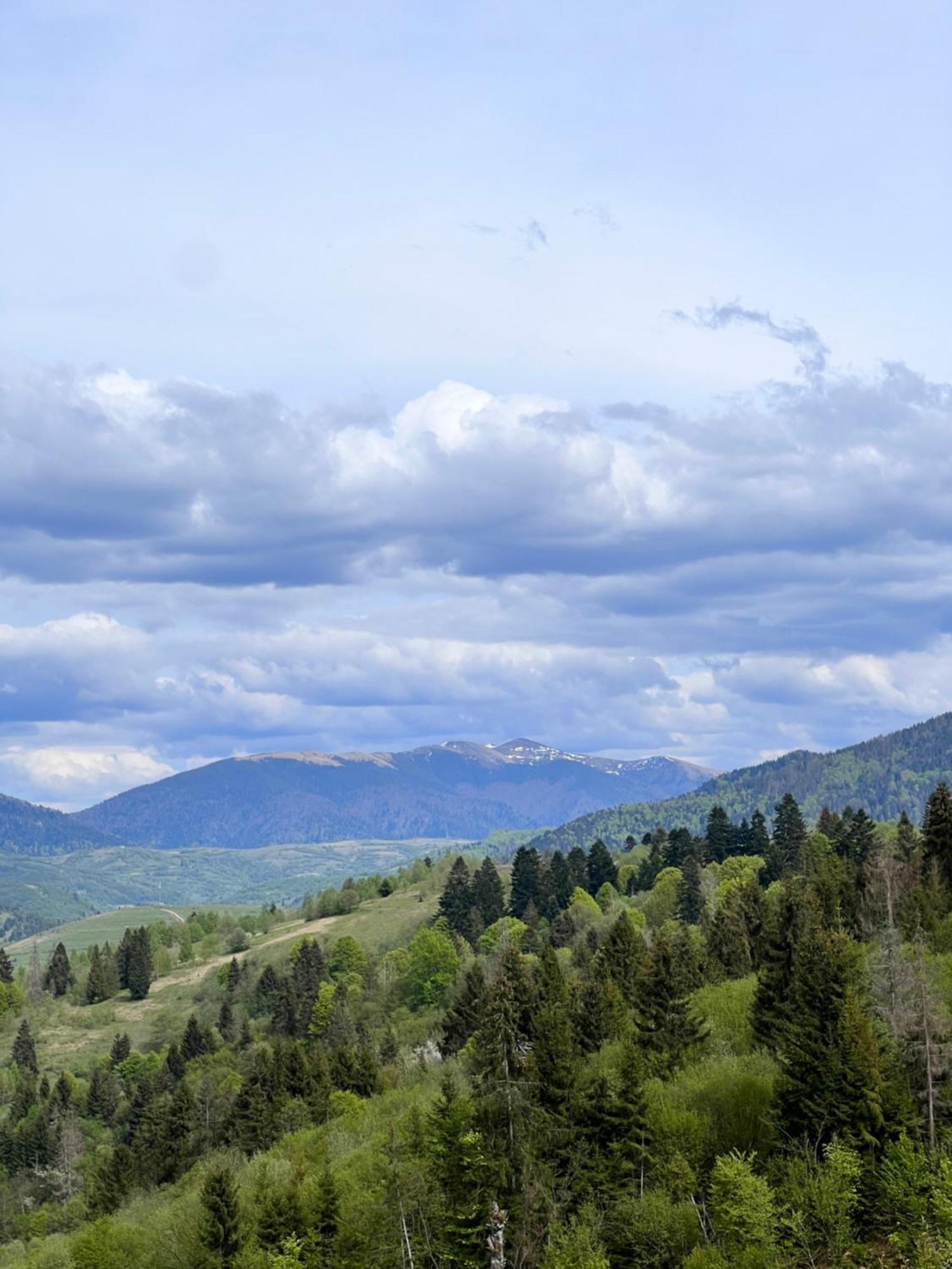 Садиба Between Mountains Mizhhirya  エクステリア 写真